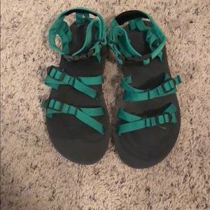 Teva utility strap sandal fern green alp